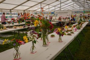 dpi 2 68 300x200 - dpi-2-68