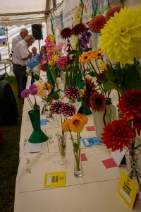 dpi 2 70 200x300 - dpi-2-70