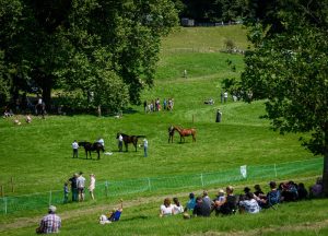 dpi 2 88 1 300x216 - dpi-2-88