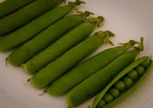 dpi 2 91 300x212 - dpi-2-91