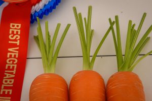 dpi 2 92 300x200 - dpi-2-92