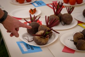 dpi 2 93 1 300x200 - dpi-2-93