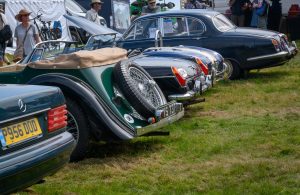 dpi 2 95 300x195 - dpi-2-95