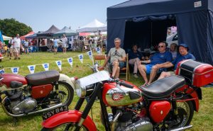 dpi 2 99 300x185 - dpi-2-99