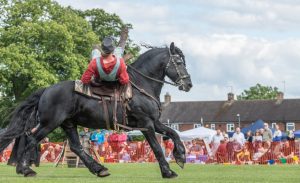 Wild West Extravaganza 11 300x183 - Attractions & Features